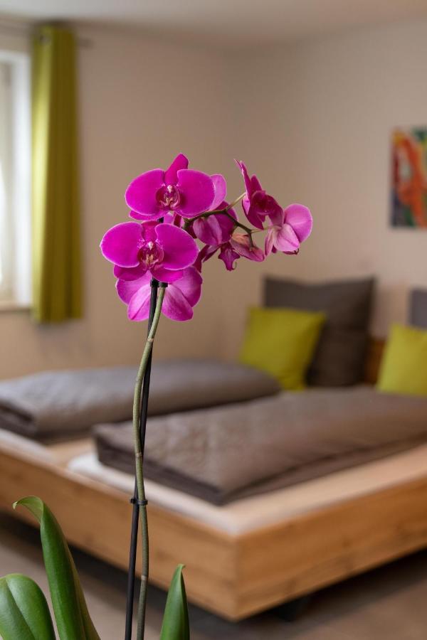 Apartment Alte Raiffeisenkasse Rothenburg Ob Der Tauber Buitenkant foto